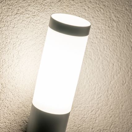 BRILAGI - Buitenmuurlamp ELIA 1xE27/20W/230V IP44 antraciet