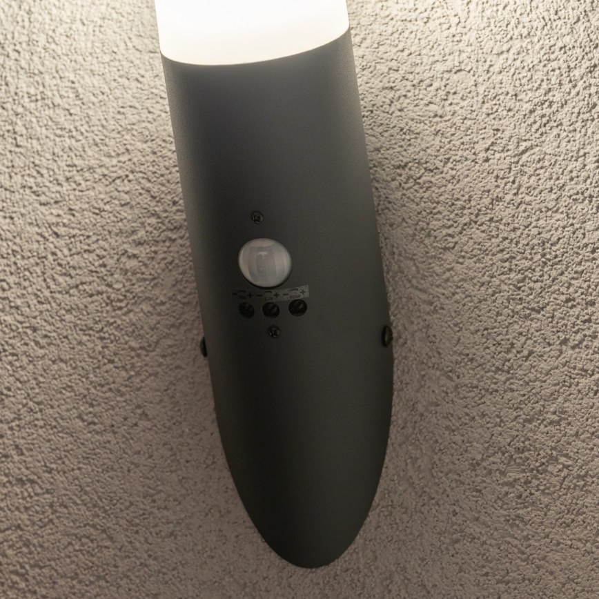 BRILAGI - Buitenmuurlamp met bewegingssensor ELIA 1xE27/20W/230V IP44 antraciet