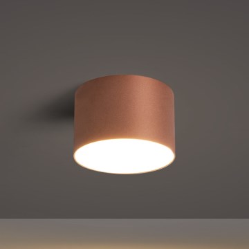 BRILAGI - Buitenplafondlamp FORIS LED/9W/230V Ø 9 cm bronskleurig IP44