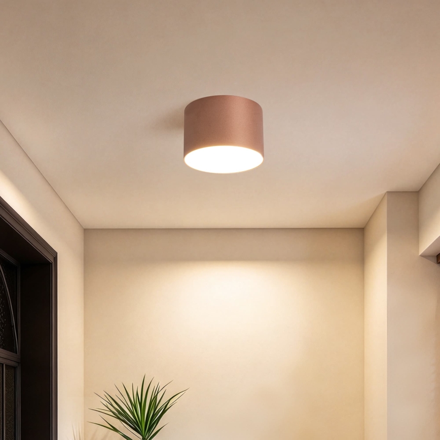 BRILAGI - Buitenplafondlamp FORIS LED/9W/230V Ø 9 cm bronskleurig IP44