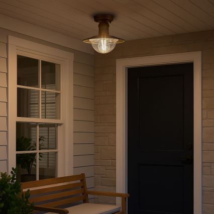 Brilagi - Buitenplafondlamp MOLDE 1xE27/60W IP44 brons/patina