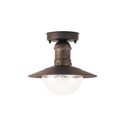 Brilagi - Buitenplafondlamp MOLDE 1xE27/60W IP44 brons/patina