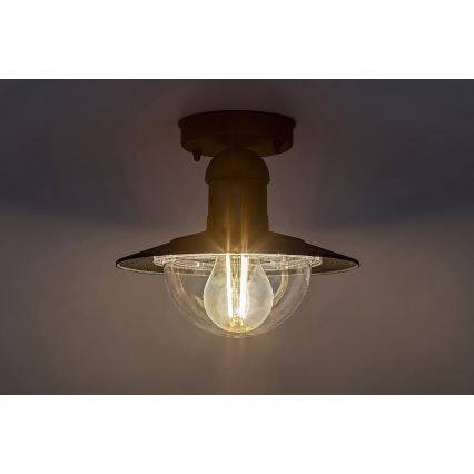 Brilagi - Buitenplafondlamp MOLDE 1xE27/60W IP44 zwart