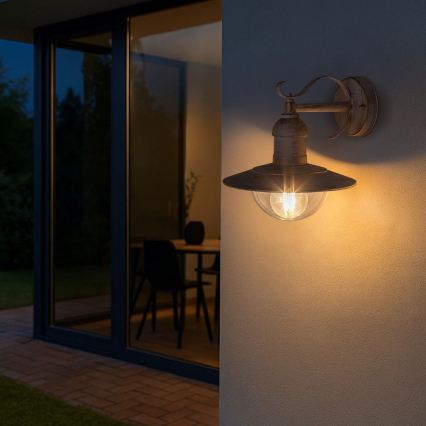 Brilagi - Buitenwandlamp MOLDE 1xE27/60W/230V IP44 wit/patina