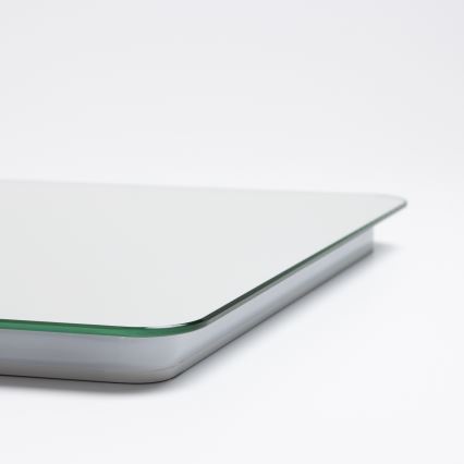 Brilagi - LED verwarmde badkamerspiegel DIANA LED/13W/230V 40x60 cm IP44 CRI 90 dimbaar + CCT