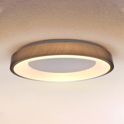Brilagi - DORIA dimbare LED-plafondlamp LED/60W/230V 3000-6500K Ø 60 cm + afstandsbediening