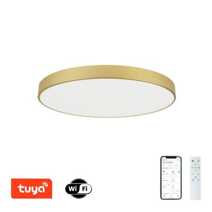 Brilagi - dimbare LED-plafondlamp POOL SMART LED/100W/230V 3000-6000K 80 cm goud Wi-Fi Tuya + afstandsbediening