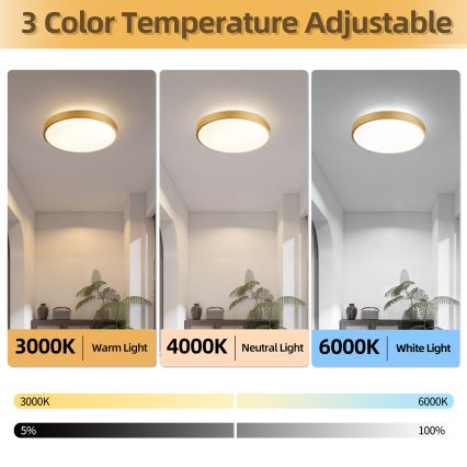 Brilagi - dimbare LED-plafondlamp GLASS POOL DOUBLE LED/48W/230V 3000-6000K 40 cm goudkleurig + afstandsbediening