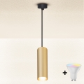 Brilagi - Dimbare hanglamp aan kabel SELE 1xGU10/6W/230V 3000K zwart/goud