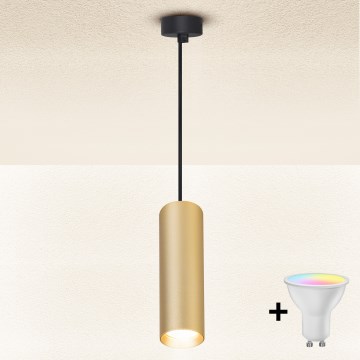 Brilagi - Dimbare hanglamp aan kabel SELE 1xGU10/6W/230V 3000K zwart/goud