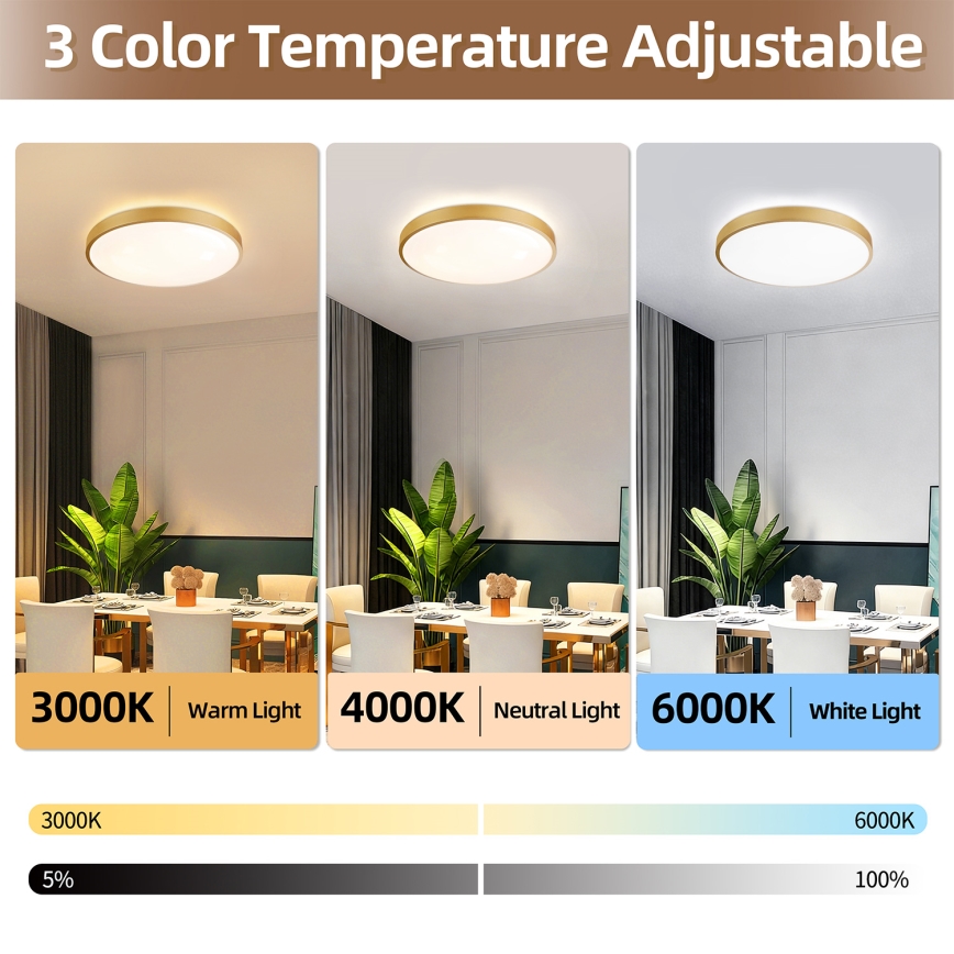 Brilagi - Dimbare LED-plafondlamp GLASS POOL DOUBLE LED/60W/230V 3000-6000K 50 cm goudkleurig + afstandsbediening
