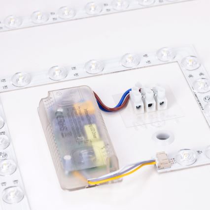 Brilagi - LED dimbare plafondlamp PILANA LED/48W/230V 3000-6500K eiken/zwart 42x42 cm + afstandsbediening