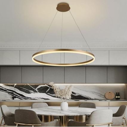 Brilagi - Dimbare LED hanglamp aan een koord CIRCLE LED/55W/230V 3000-6500K goud + afstandsbediening