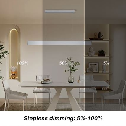 Brilagi - Dimbare LED hanglamp aan een koord SLIMLINE LED/40W/230V 3000-6000K zilver + afstandsbediening