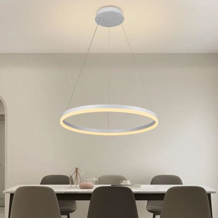Brilagi - LED-dimbare hanglamp aan stalen kabel CIRCLE LED/42W/230V 3000-6500K Ø 60 cm + afstandsbediening