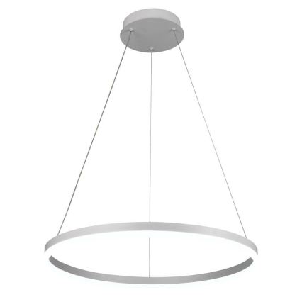 Brilagi - LED-dimbare hanglamp aan stalen kabel CIRCLE LED/42W/230V 3000-6500K Ø 60 cm + afstandsbediening