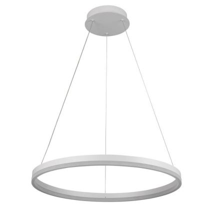 Brilagi - LED-dimbare hanglamp aan stalen kabel CIRCLE LED/42W/230V 3000-6500K Ø 60 cm + afstandsbediening