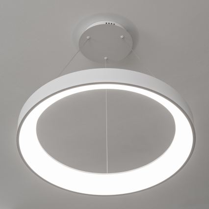 Brilagi - Dimbare LED-pendellamp aan kabel FALCON II LED/99W/230V 3000-6500K Ø 60 cm wit + afstandsbediening