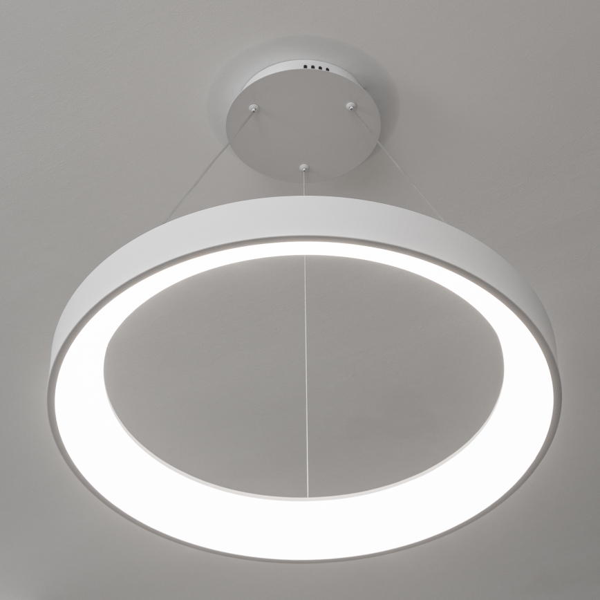 Brilagi - Dimbare LED-pendellamp aan kabel FALCON II LED/99W/230V 3000-6500K Ø 60 cm wit + afstandsbediening