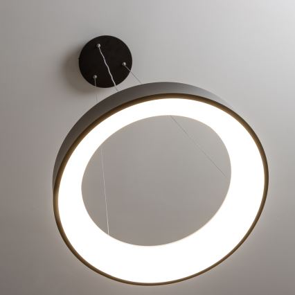 Brilagi - LED dimbare hanglamp met kabel FALCON LED/80W/230V 3000-6500K Ø 60 cm zwart + afstandsbediening