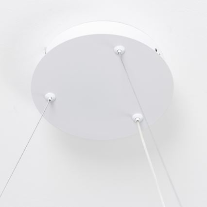 Brilagi - Dimbare LED-pendellamp aan kabel FALCON SLIM LED/42W/230V 3000-6500K Ø 50 cm wit + afstandsbediening