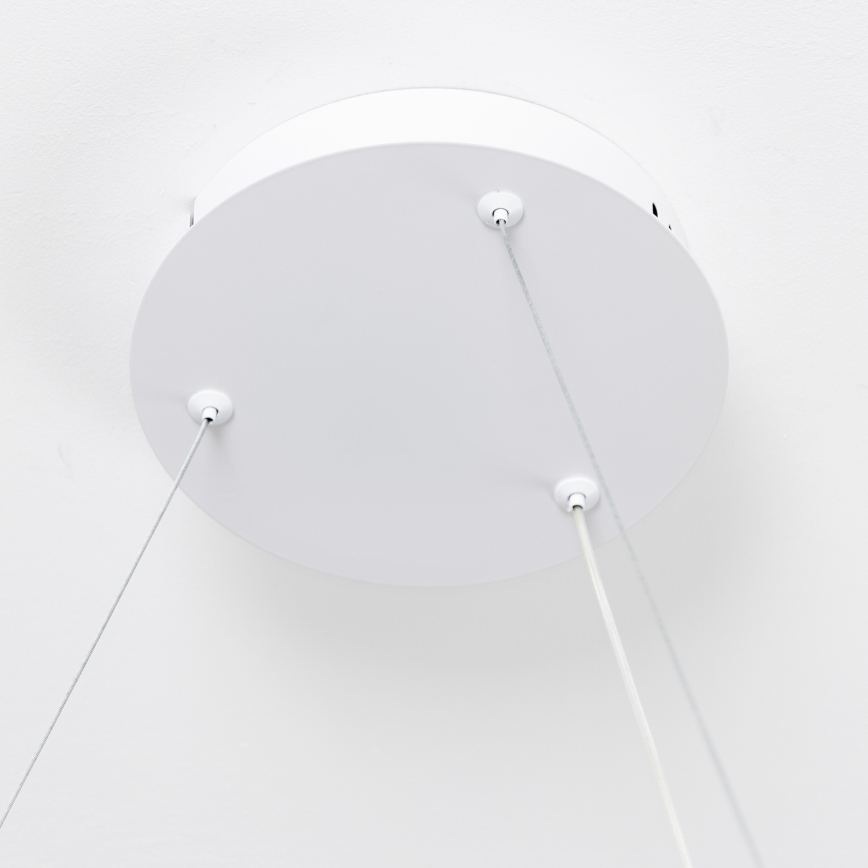 Brilagi - Dimbare LED-pendellamp aan kabel FALCON SLIM LED/42W/230V 3000-6500K Ø 50 cm wit + afstandsbediening