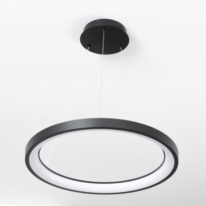 Brilagi - LED dimbare hanglamp aan kabel FALCON SLIM LED/42W/230V 3000-6500K Ø 50 cm zwart + afstandsbediening