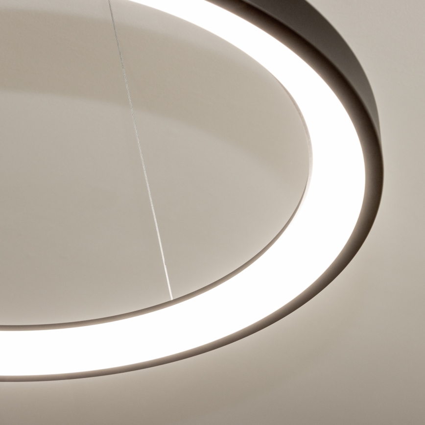 Brilagi - LED dimbare hanglamp aan kabel FALCON SLIM LED/42W/230V 3000-6500K Ø 50 cm zwart + afstandsbediening