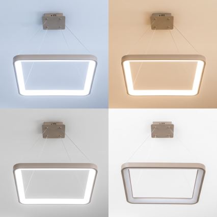 BRILAGI - dimbare LED-hanglamp aan kabel FALCON SLIM LED/50W/230V 3000-6500K 50x50 cm beige + afstandsbediening
