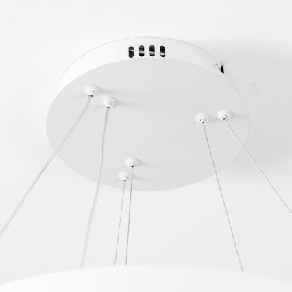 Brilagi - LED dimbare hanglamp aan ophangkabel FALCON SLIM LED/68W/230V 3000-6500K Ø 50 cm wit + afstandsbediening