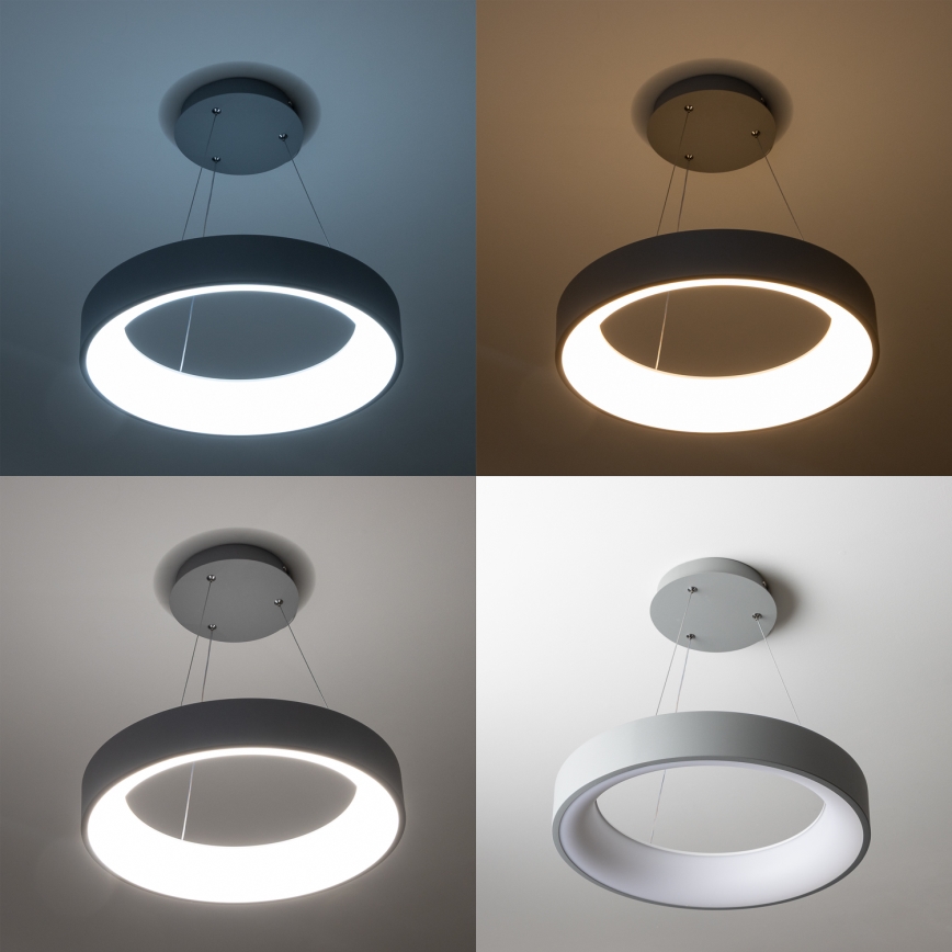 Brilagi - Dimbare LED-hanglamp met kabelophanging FALCON LED/40W/230V 3000-6500K Ø 45 cm grijs + afstandsbediening