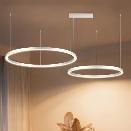 Brilagi - Dimbare LED-hanglamp aan kabel PORTOFINO LED/98W/230V 3000-6000K zilver + afstandsbediening