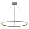 Brilagi - Dimbare LED-hanglamp aan staalkabel CIRCLE LED/55W/230V 3000-6500K Ø 80 cm zilver + afstandsbediening