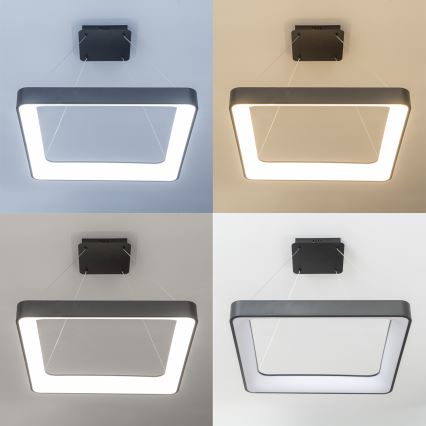 Brilagi - LED-dimbare hanglamp met kabel FALCON II LED/125W/230V 3000-6500K 60x60 cm zwart + afstandsbediening