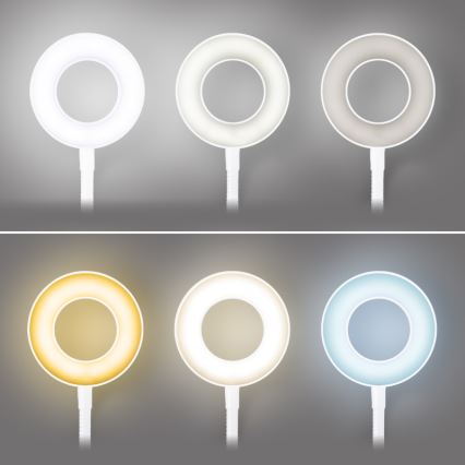 Brilagi - Dimbare LED-lamp met klem ORBELA LED/8W/5V 3000/4000/5000K wit