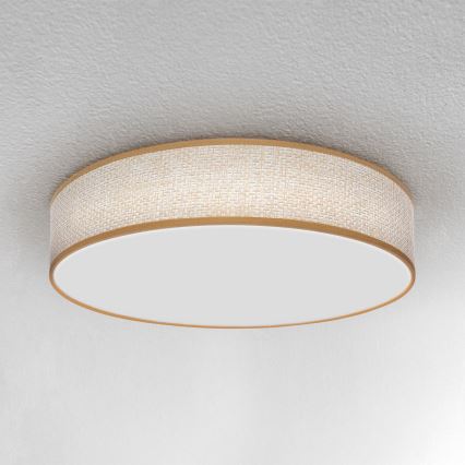 Brilagi - Dimbare LED plafondlamp CARMEN LED/48W/230V 3000-6500K diameter 40 cm + afstandsbediening