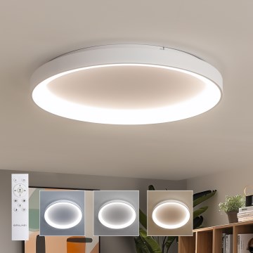 Brilagi - Dimbare LED-plafondlamp FALCON II LED/108 W/230 V 3000–6500 K Ø 80 cm wit + afstandsbediening