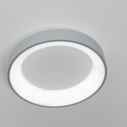 Brilagi - Dimbare LED-plafondlamp FALCON LED/80W/230V 3000-6500K Ø 60 cm grijs + afstandsbediening