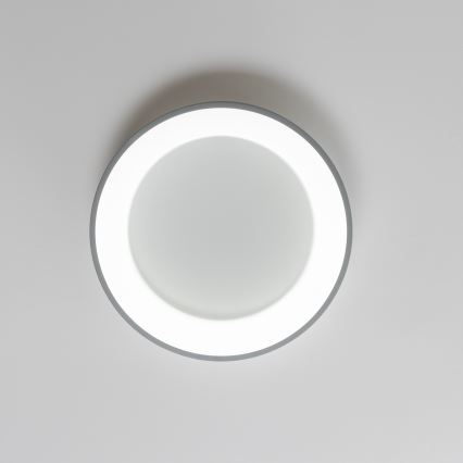 Brilagi - LED dimbare plafondlamp FALCON LED/40W/230V 3000-6500K Ø45 cm grijs + afstandsbediening