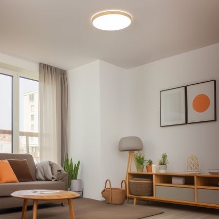 Brilagi - Dimbare LED-plafondlamp PINE LED/60W/230V Ø 52 cm 3000-6500K + afstandsbediening