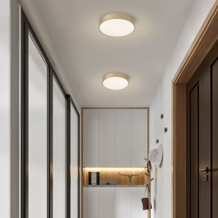 Brilagi - LED dimbare plafondlamp POOL LED/36W/230V 3000-6000K pr. 30 cm goud + afstandsbediening