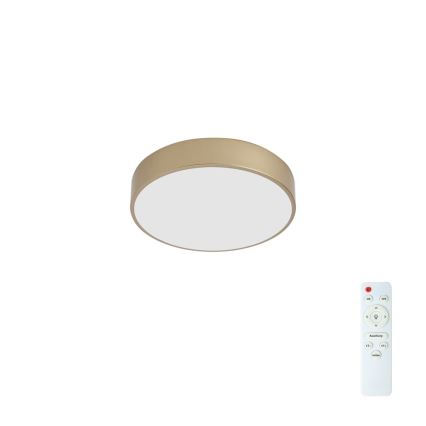 Brilagi - LED dimbare plafondlamp POOL LED/36W/230V 3000-6000K pr. 30 cm goud + afstandsbediening