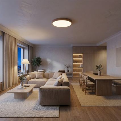 Brilagi - dimbare LED-plafondlamp POOL LED/50W/230V 3000-6000K Ø 40 cm houtdecor + afstandsbediening