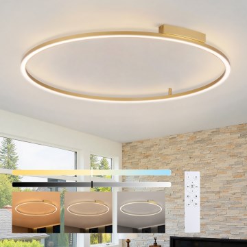 Brilagi - Dimbare LED-plafondlamp PORTOFINO LED/85W/230V 3000-6000K Ø 120 cm goud + afstandsbediening