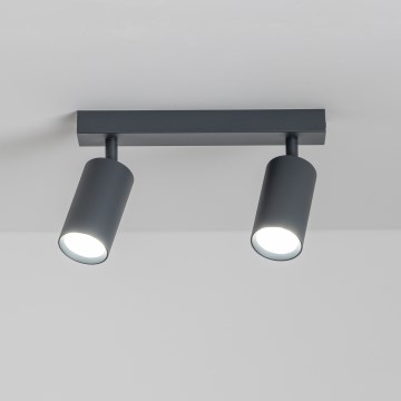 Brilagi - dimbare LED-spot SELE 2xGU10/6,5W/230V 2700-6500K antraciet