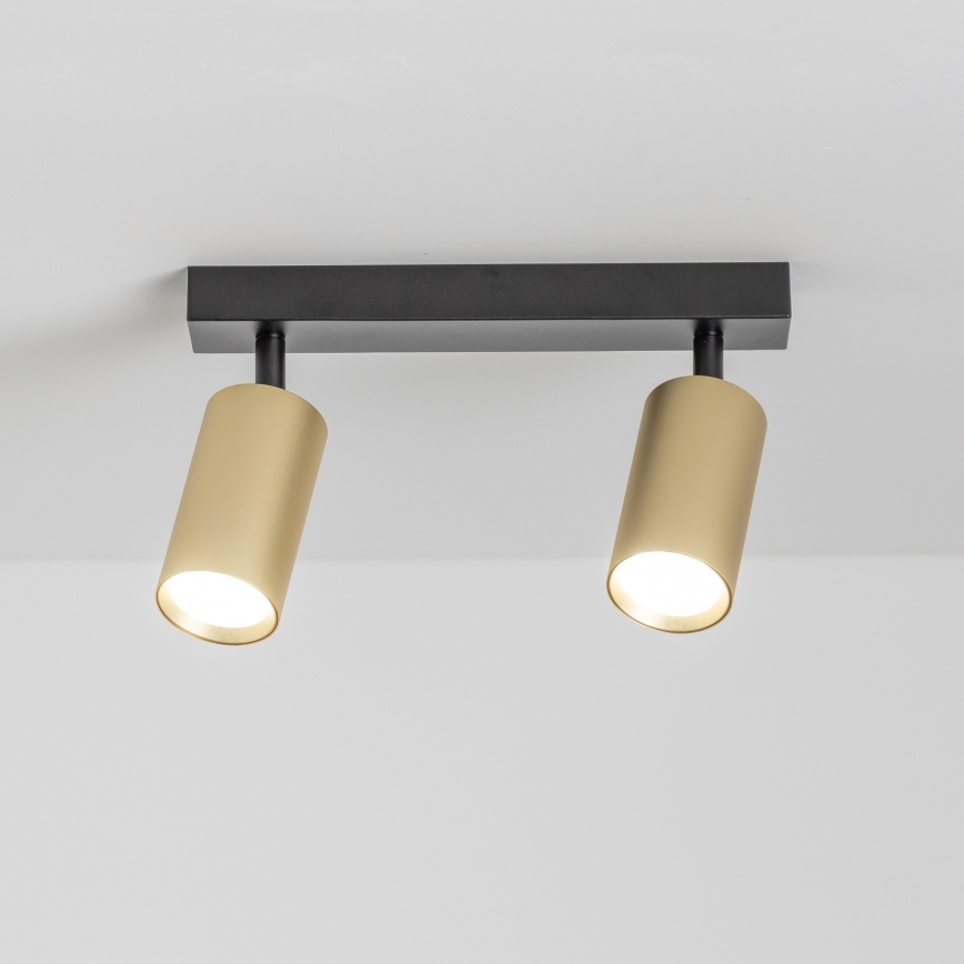 Brilagi - Dimbare LED-spot SELE GOLDEN 2xGU10/6,5W/230V 2700-6500K zwart/goud