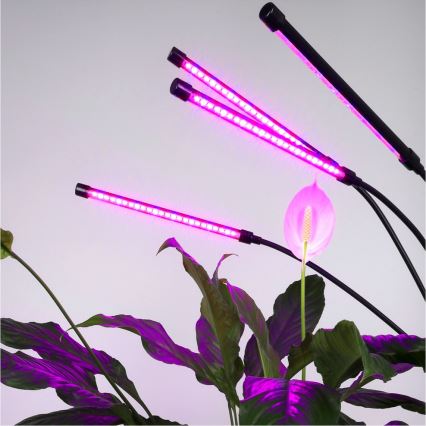 Brilagi - LED Dimbaar flexibel Staande lamp voor het kweken van planten VITABLOOM 4xLED/7,5W/230V zwart