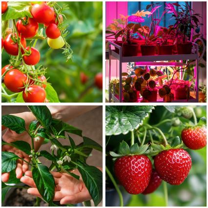 Brilagi - LED Dimbaar flexibel Staande lamp voor het kweken van planten VITABLOOM 4xLED/7,5W/230V zwart