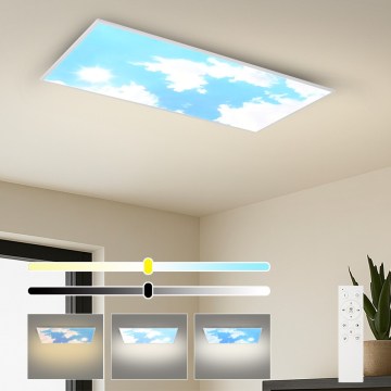 Brilagi - Dimbare SLIMFRAME LED/80W/230V 120x60 cm 3000-6000K zilver/blauw + afstandsbediening