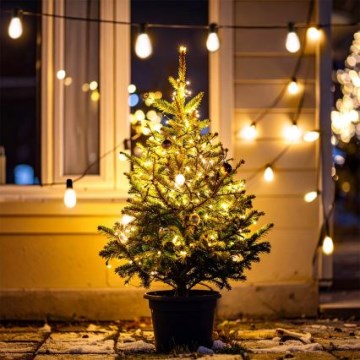 BRILAGI - Guirlande de Noël LED d'extérieur 10xLED/3xAA 3,2 m IP44 blanc chaud